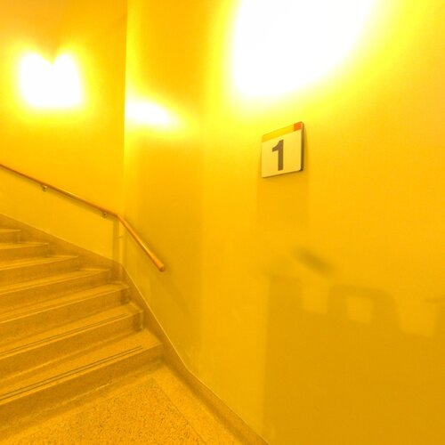 Input