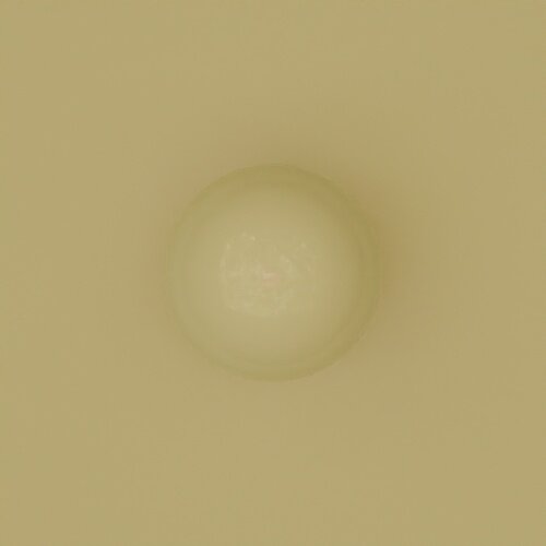 render