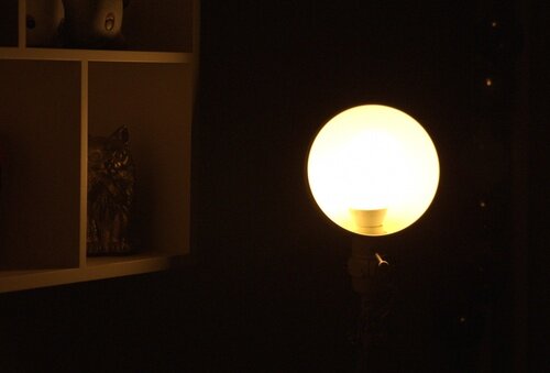 Input