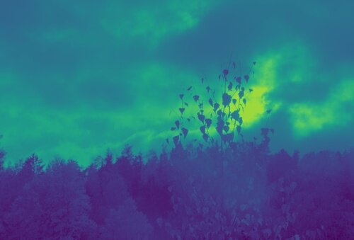 Energy